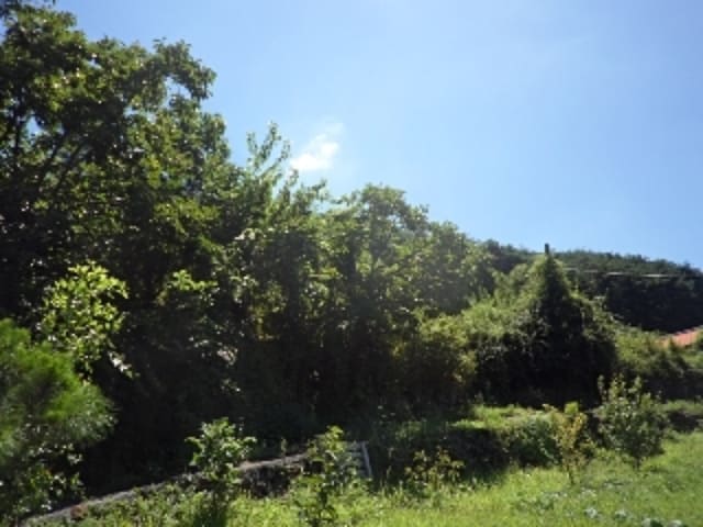 B000423202401300118201.jpg