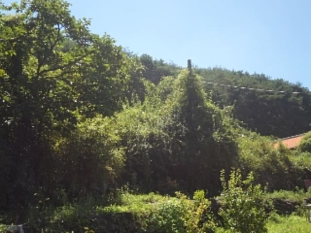 B000423202401300118203.jpg