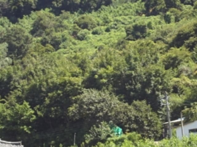 B000423202401300118204.jpg