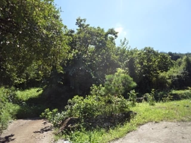 B000423202401300118202.jpg