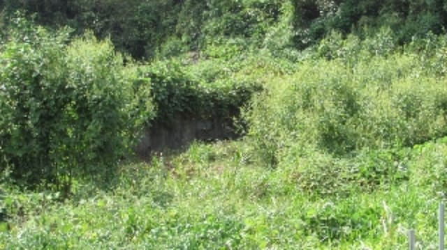 B000423202401300123043.jpg