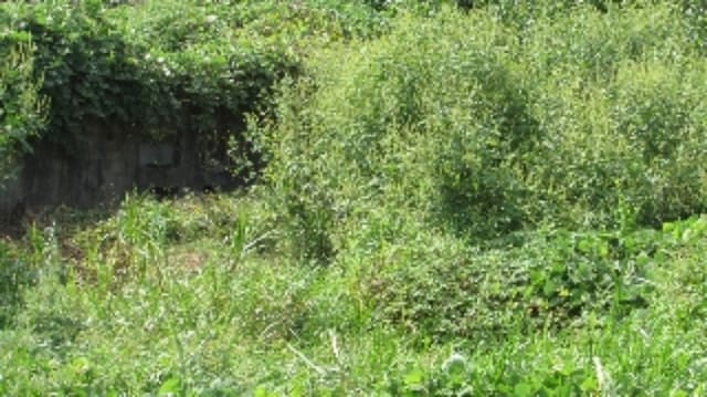 B000423202401300123044.jpg
