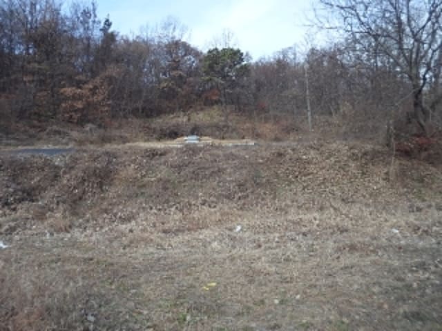 B000423202401300132773.jpg