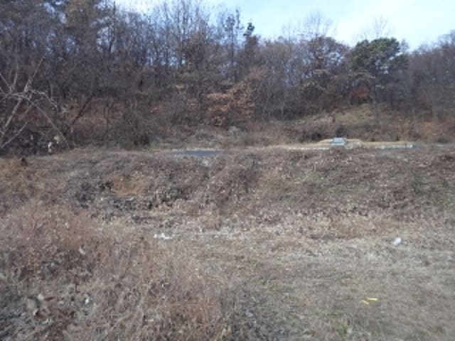 B000423202401300132774.jpg