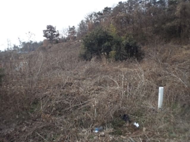 B000423202401300132772.jpg
