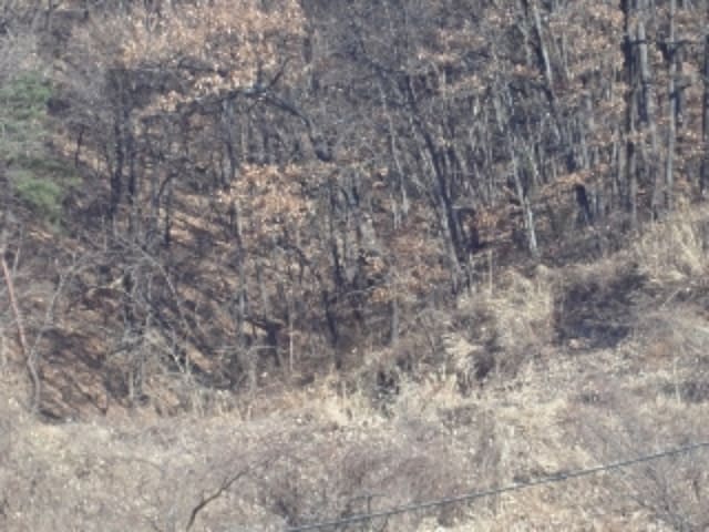 B000423202401300134684.jpg