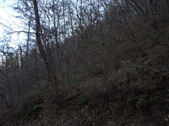 B000423202401300135431.jpg