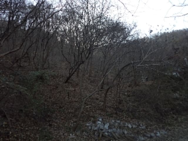 B000423202401300135433.jpg