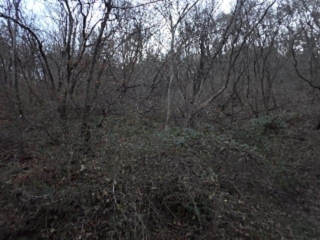 B000423202401300135432.jpg