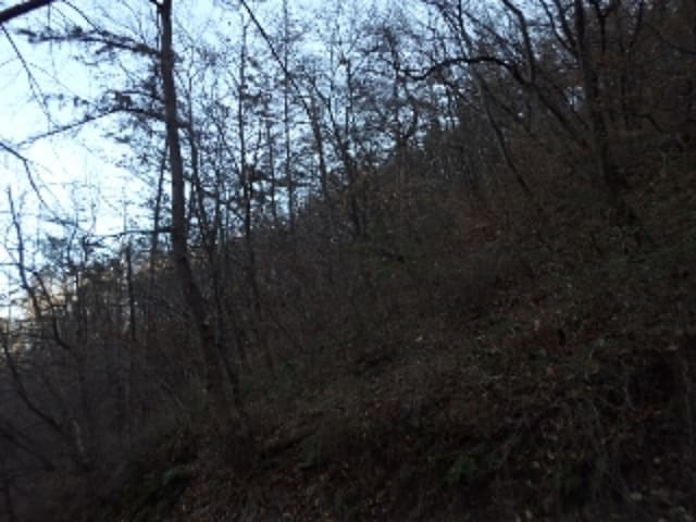 B000423202401300135434.jpg