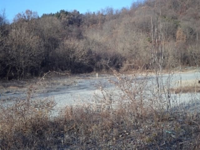 B000423202401300135744.jpg