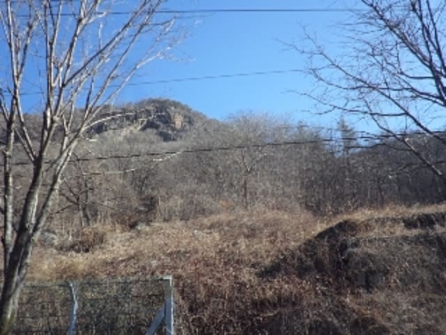 B000423202401300136281.jpg