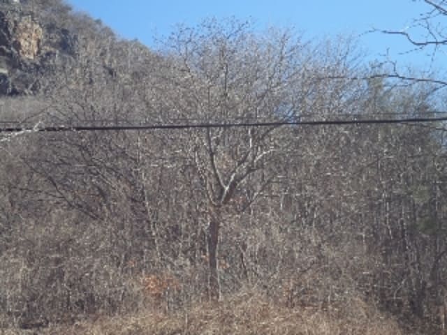 B000423202401300136282.jpg