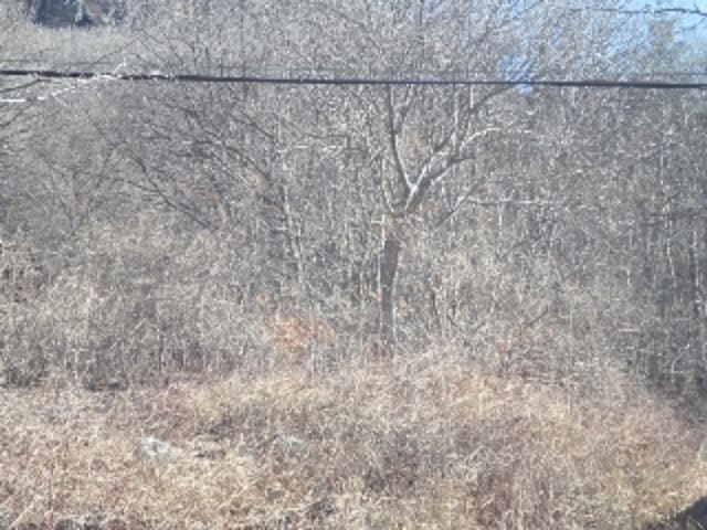 B000423202401300136283.jpg