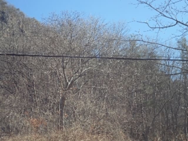 B000423202401300136284.jpg