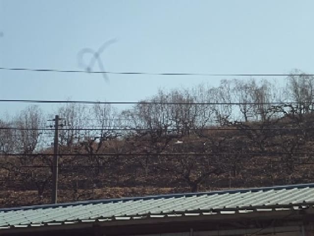 B000423202501300000701.jpg