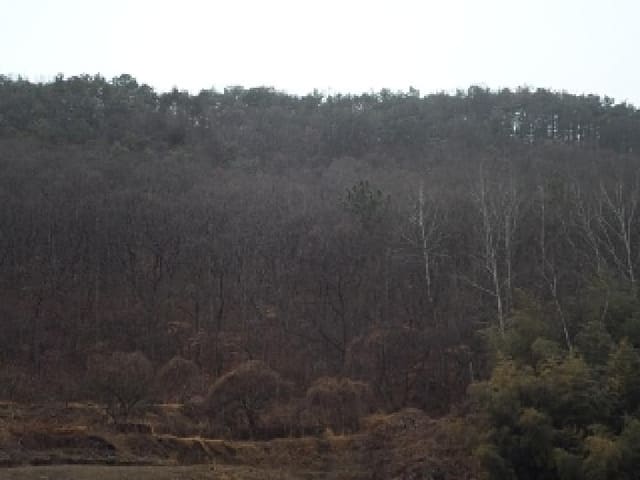 B000423202501300001791.jpg