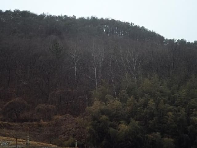 B000423202501300001792.jpg