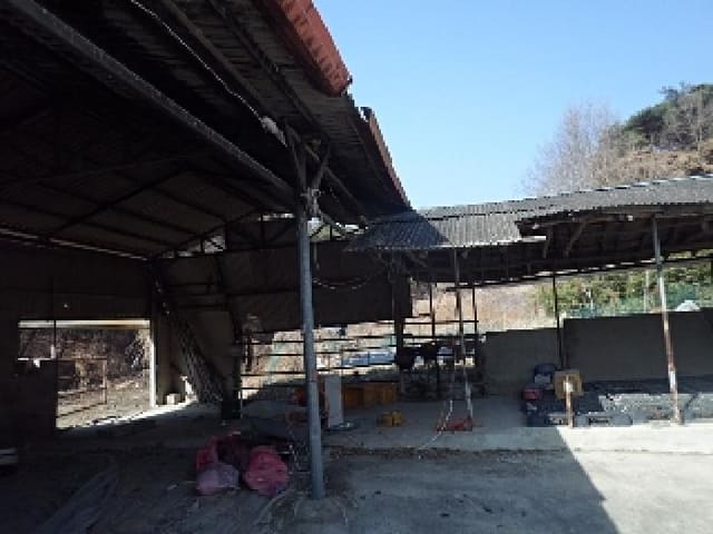 B000423202501300002612.jpg