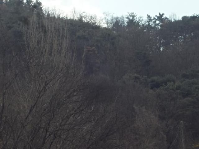 B000423202501300002923.jpg