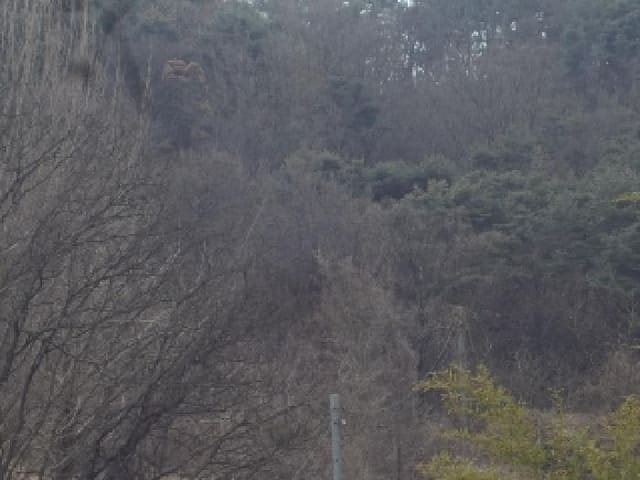 B000423202501300002924.jpg