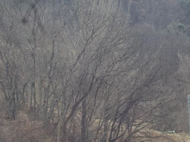 B000423202501300002922.jpg