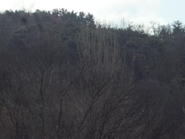 B000423202501300002921.jpg