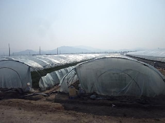 B000423202501300004142.jpg