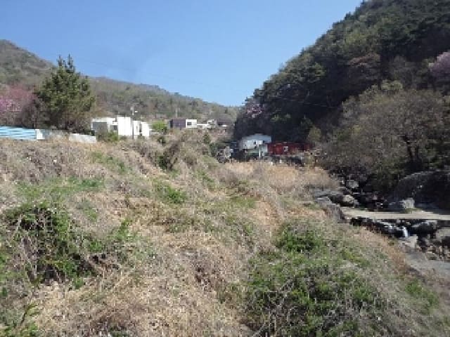B000423202501300004453.jpg