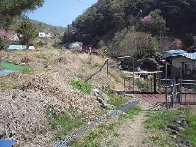 B000423202501300004451.jpg