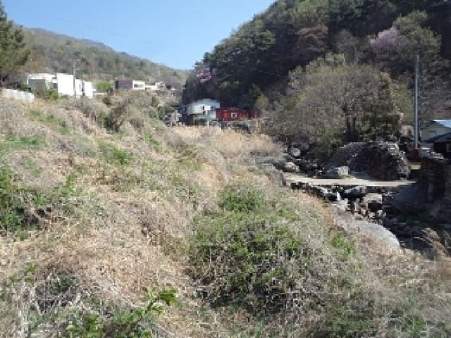 B000423202501300004454.jpg