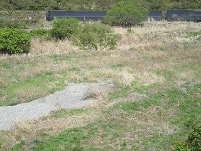 B000423202501300006361.jpg