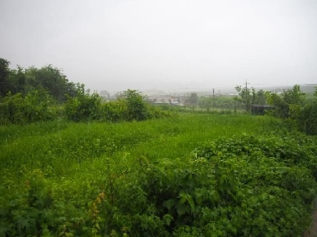 B000423202501300006501.jpg