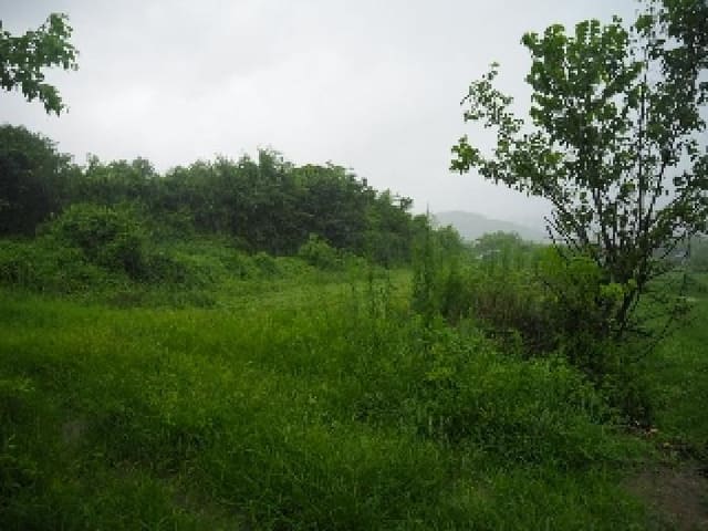 B000423202501300006502.jpg