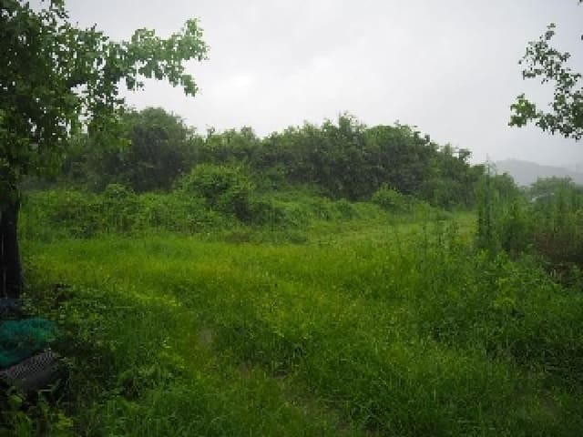 B000423202501300006503.jpg
