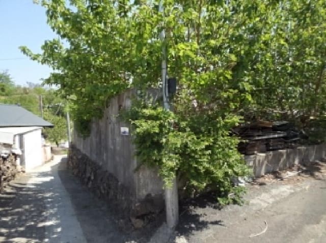 B000423202501300006741.jpg