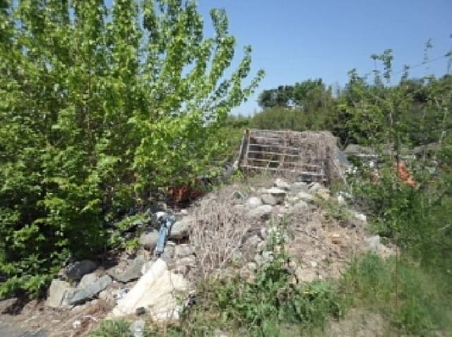 B000423202501300006742.jpg