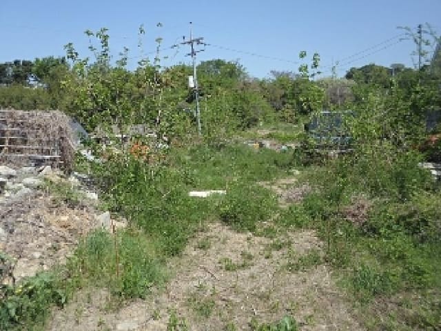B000423202501300006744.jpg
