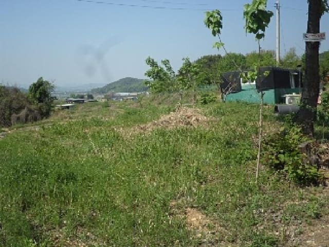 B000423202501300007113.jpg