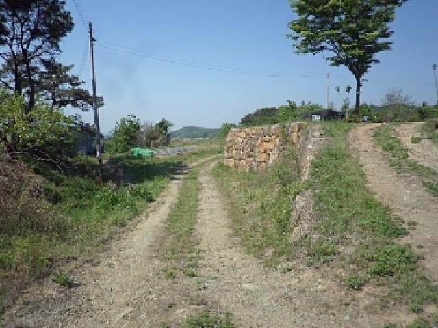 B000423202501300007111.jpg