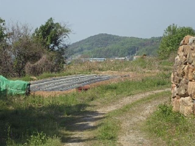 B000423202501300007112.jpg