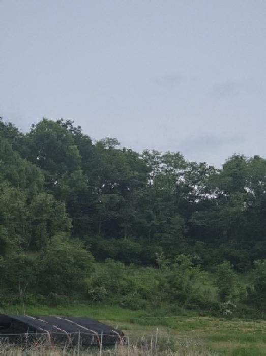 B000423202501300008412.jpg