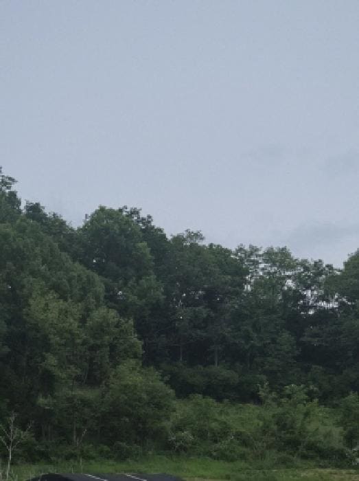 B000423202501300008411.jpg