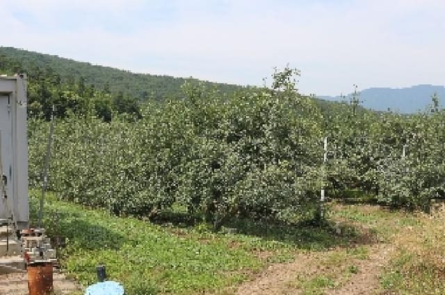 B000423202501300010732.jpg
