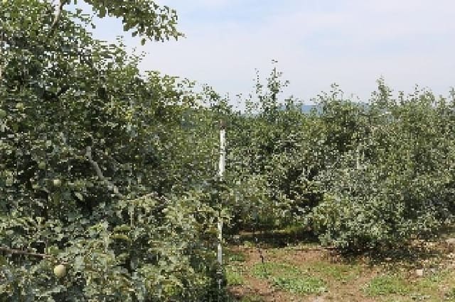 B000423202501300010734.jpg