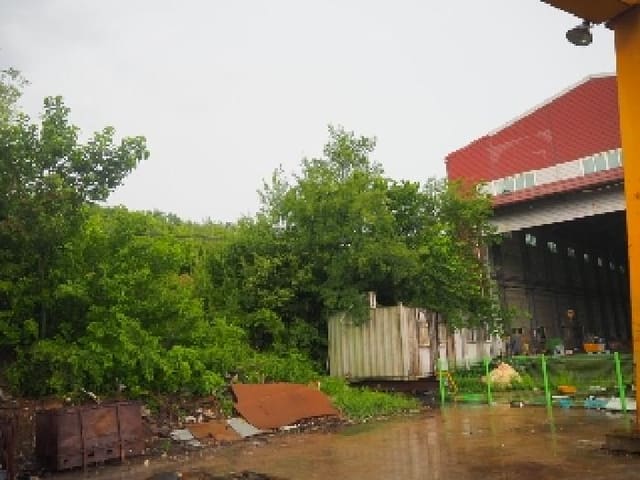 B000423202501300013492.jpg