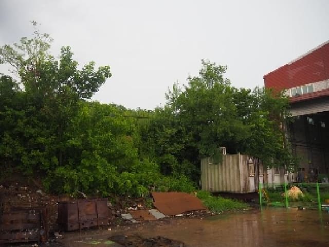 B000423202501300013493.jpg