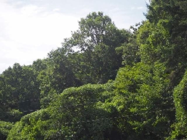 B000423202501300014483.jpg