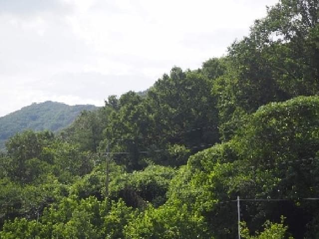 B000423202501300014482.jpg