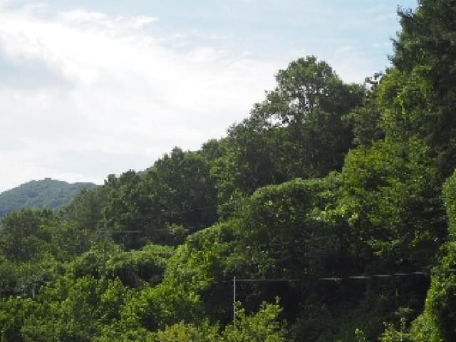 B000423202501300014481.jpg